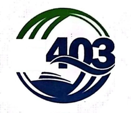پارسیان توس 403